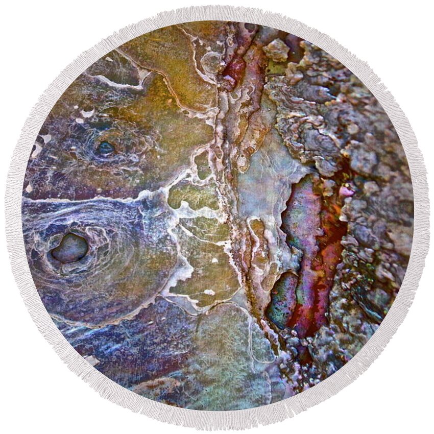 Abalone Round Beach Towel featuring the photograph A Secret Beneath The Surface by Gwyn Newcombe