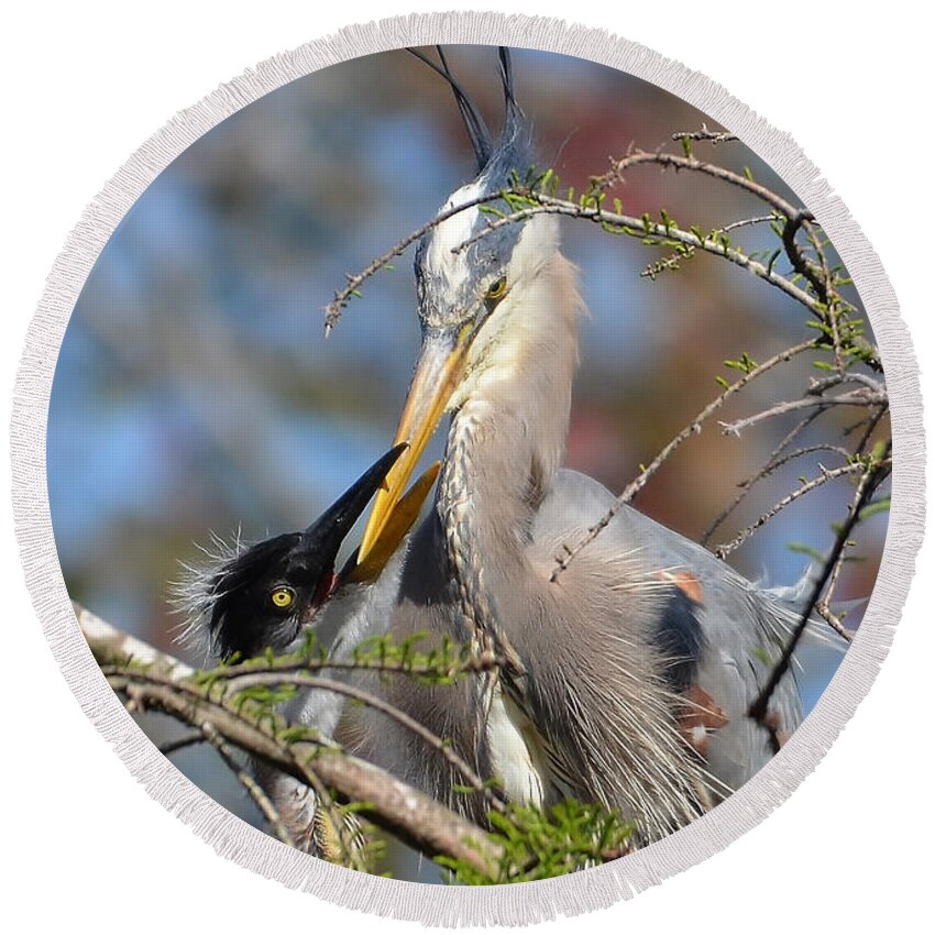 Heron Round Beach Towel featuring the photograph A Special Moment by Kathy Baccari