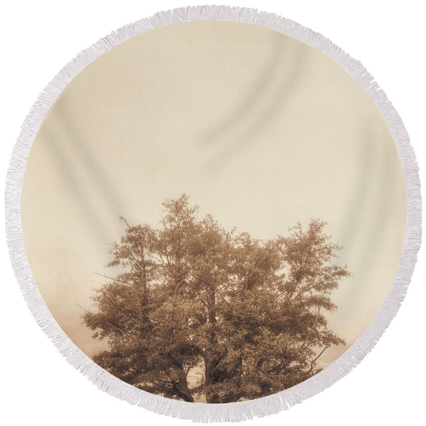 Tree Round Beach Towel featuring the photograph A Tree in the Fog by Scott Norris