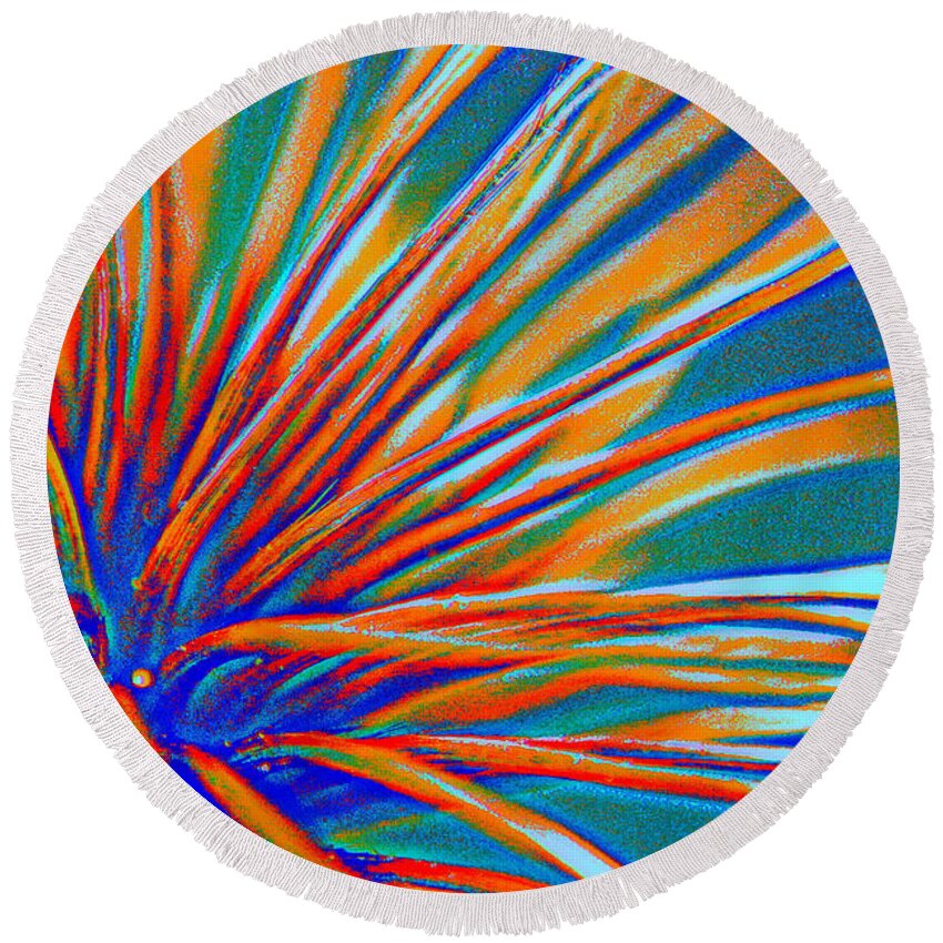 Clematis Round Beach Towel featuring the photograph Abstract Feathered Seed Pod by Kelly Nowak