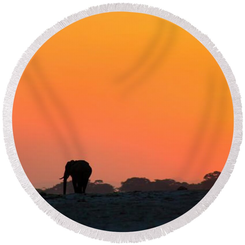 Elephants Round Beach Towel featuring the photograph African Elephant Sunset by Amanda Stadther