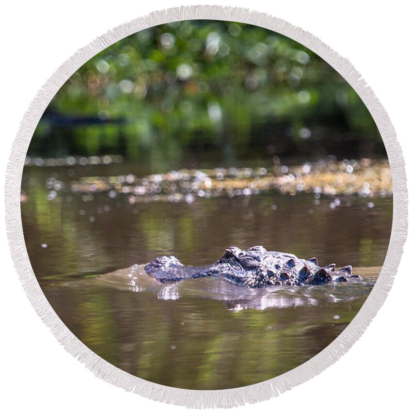 Alligator Round Beach Towel featuring the photograph Alligator Swimming in Bayou 1 by Gregory Daley MPSA
