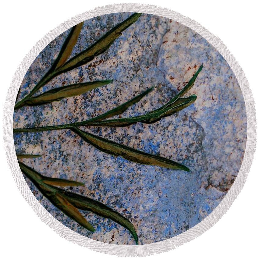 Leaf Round Beach Towel featuring the photograph Altered State by Judy Wolinsky