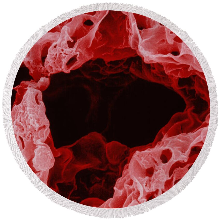 Alveolus In Lung Round Beach Towel featuring the photograph Alveolus In Lung by David M. Phillips