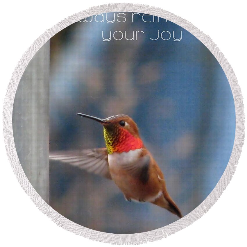 Hummingbirds Round Beach Towel featuring the photograph Always Remember Your Joy by Rory Siegel