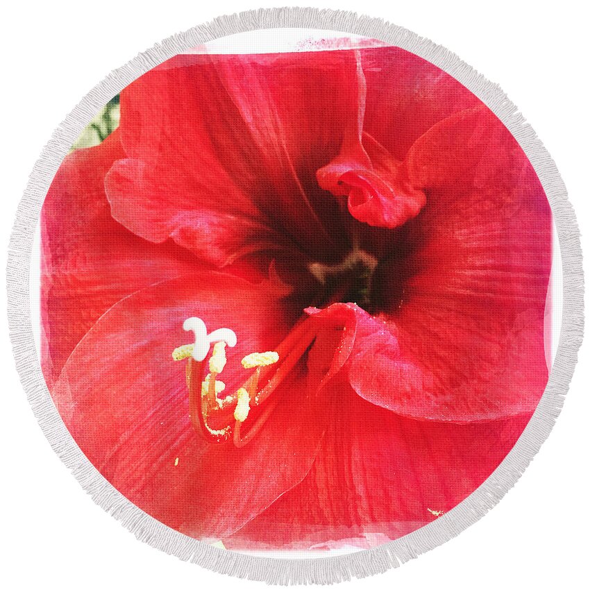 Amaryllis Round Beach Towel featuring the photograph Amaryllis by Nina Prommer