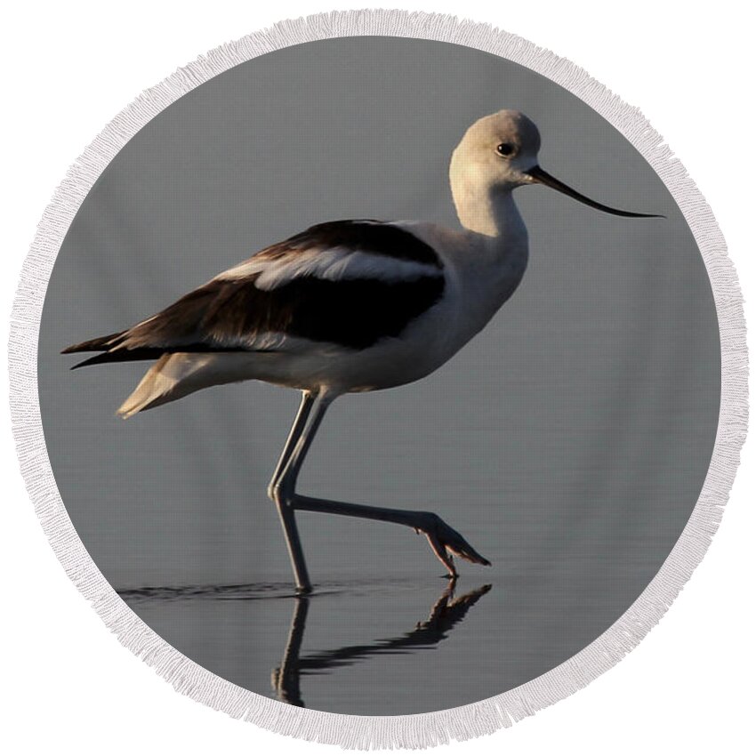 American Avocet Round Beach Towel featuring the photograph American Avocet by Meg Rousher