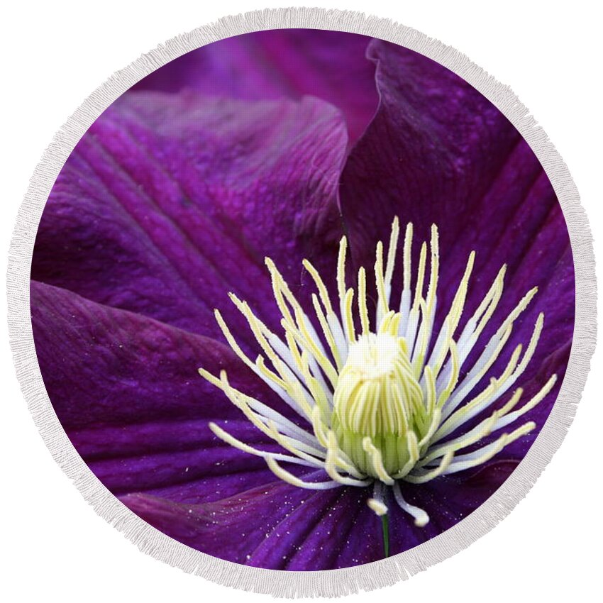 Clematis Round Beach Towel featuring the photograph Amethyst Colored Clematis by Kay Novy