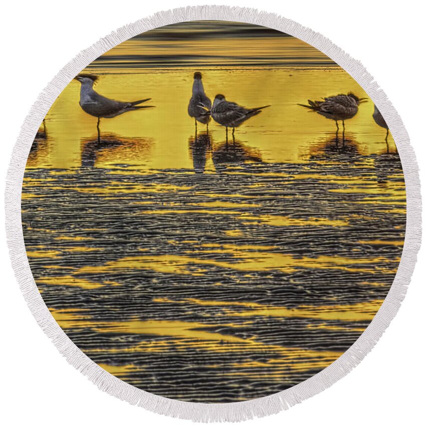 Royal Terns Round Beach Towel featuring the photograph Among Friends by Marvin Spates