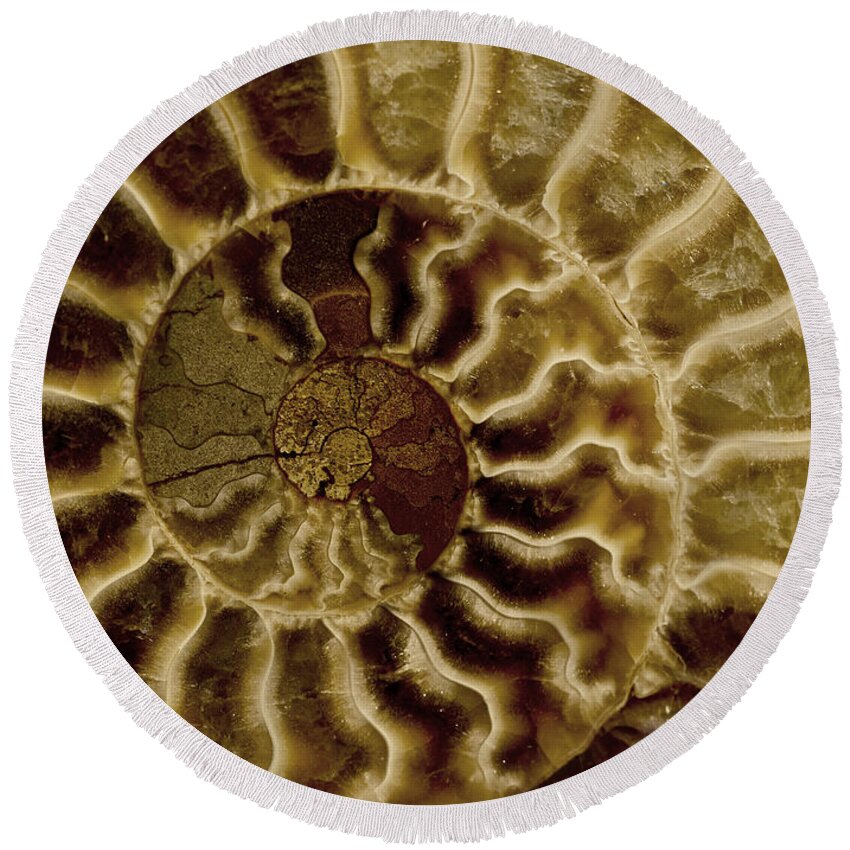 Ammonite Round Beach Towel featuring the photograph An ancient ammonite pattern IV by Jaroslaw Blaminsky