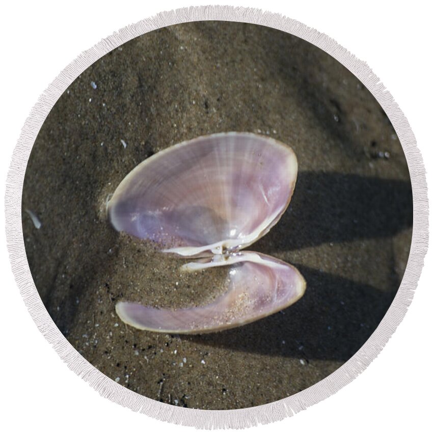 Sea Shell Round Beach Towel featuring the photograph Angel Wings by Spikey Mouse Photography
