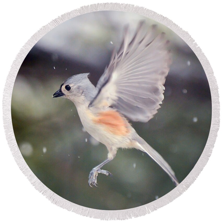 Tufted Titmouse Round Beach Towel featuring the photograph Angel Wings by Kerri Farley