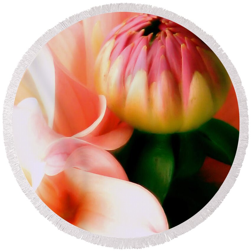 Dahlia Round Beach Towel featuring the photograph Anticipation by Rory Siegel
