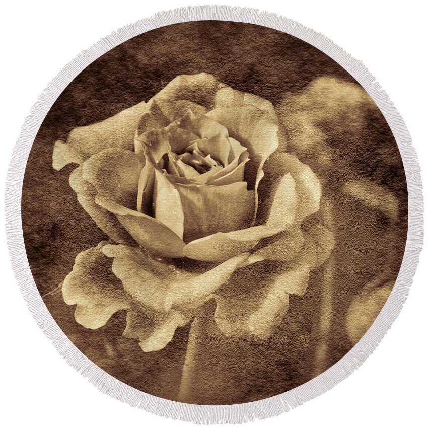 Antique Round Beach Towel featuring the photograph Antique Rose by Shirley Mangini