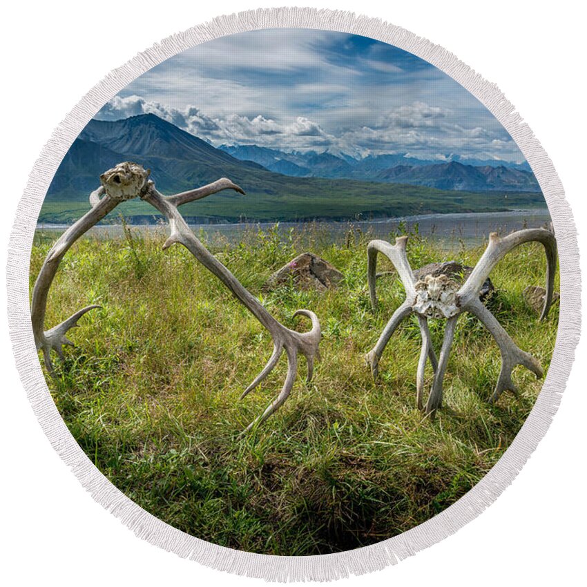 Deer Round Beach Towel featuring the photograph Antlers on the Hill by Andrew Matwijec