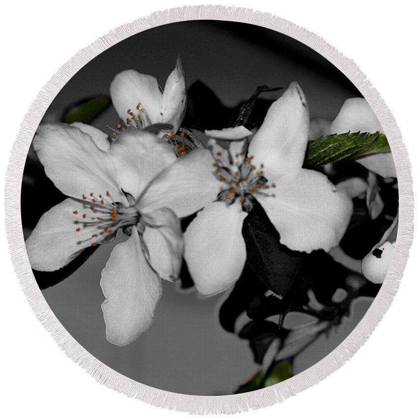Green Round Beach Towel featuring the photograph Apple BLossoms by David Yocum