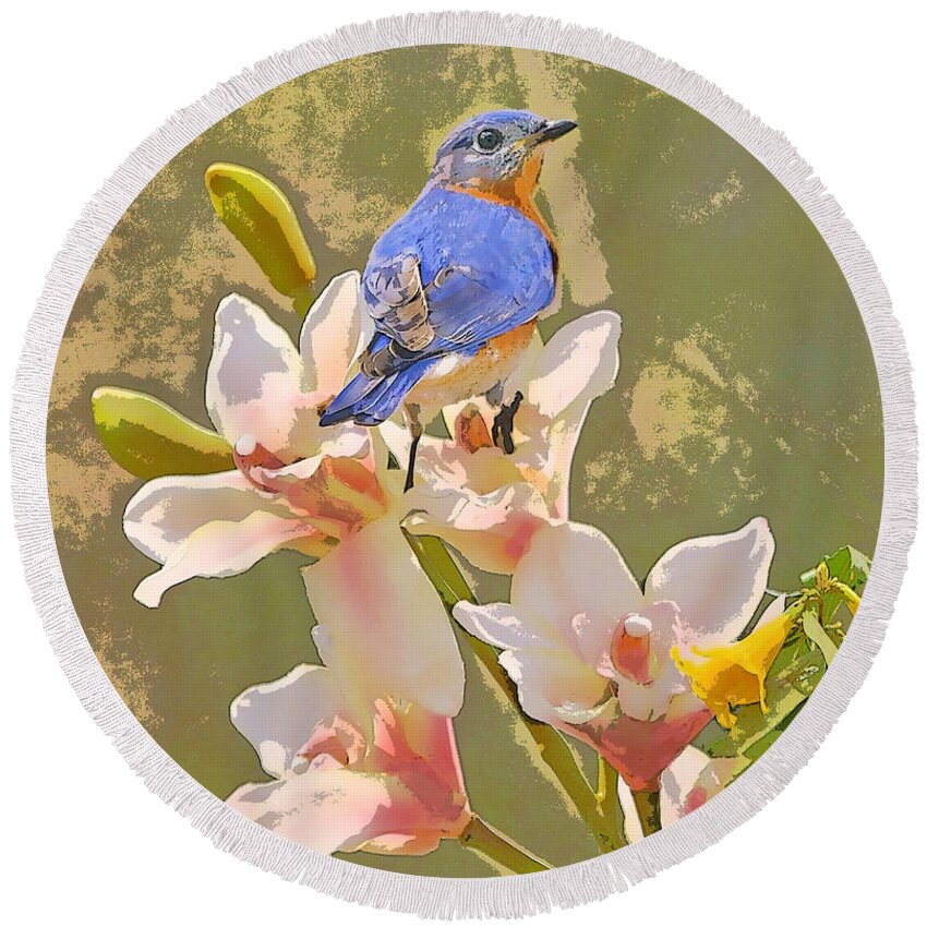 Billy Blue Bird Round Beach Towel featuring the photograph Bluebird on Orchids Artistic photo by Luana K Perez