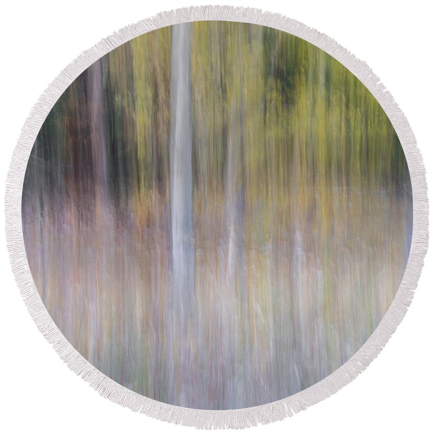 Tree Round Beach Towel featuring the photograph Artistic Birch Trees by Larry Marshall