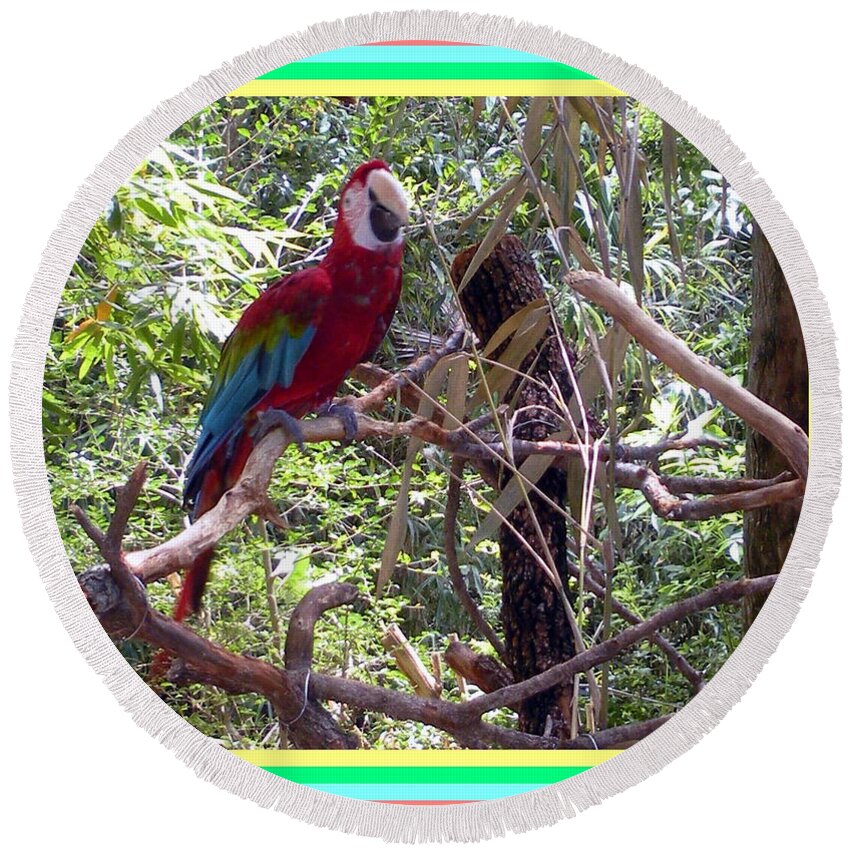 Artistic Round Beach Towel featuring the photograph Artistic Wild Hawaiian Parrot by Joseph Baril