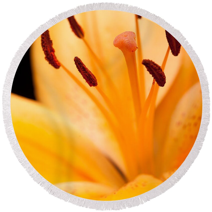Floral Round Beach Towel featuring the photograph Asian Lily by Sebastian Musial