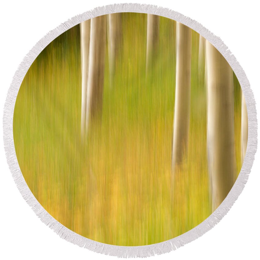 Aspen Round Beach Towel featuring the photograph Aspen Abstract by Ronda Kimbrow