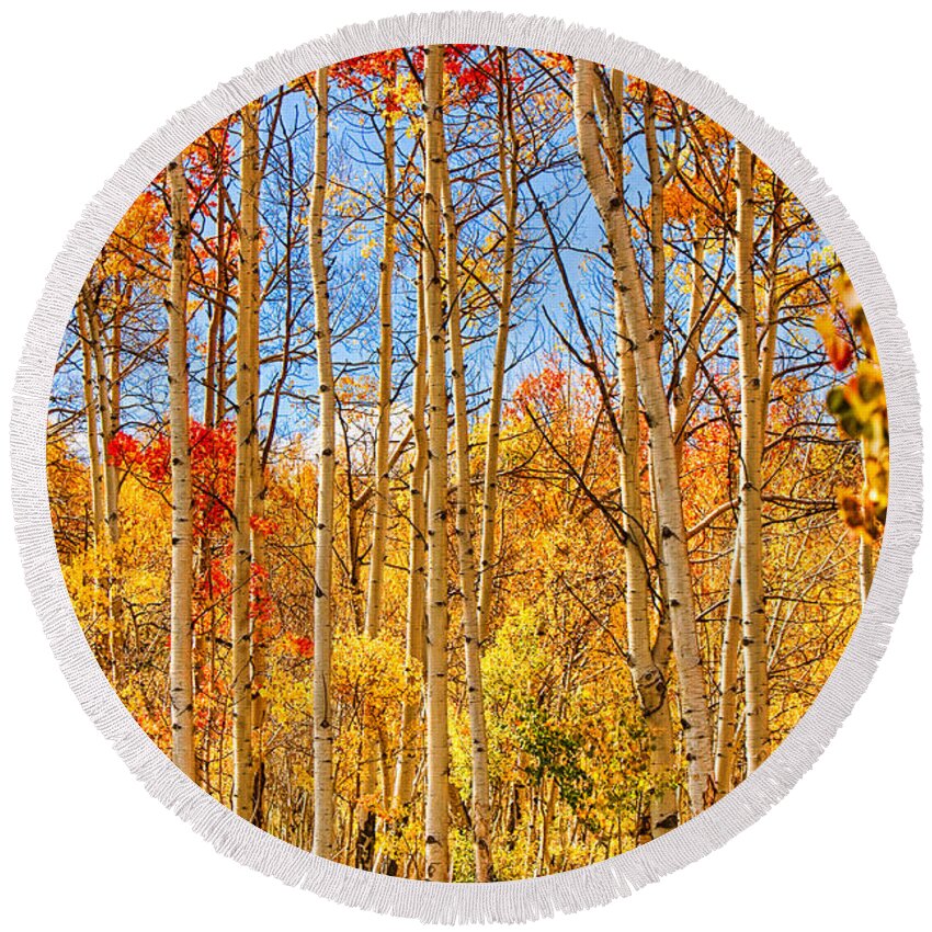Autumn Round Beach Towel featuring the photograph Aspen Fall Foliage Portrait Red Gold and Yellow by James BO Insogna