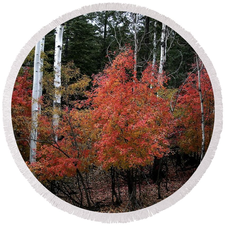Landscape Round Beach Towel featuring the photograph Aspen Glory by Matalyn Gardner