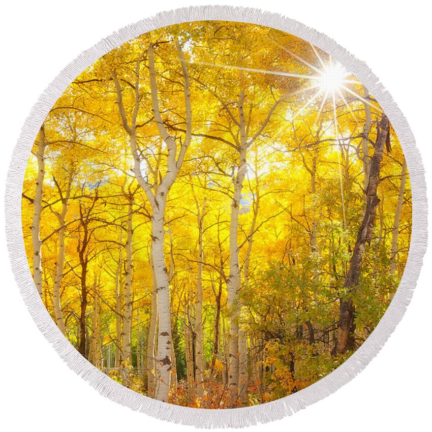 Aspens Round Beach Towel featuring the photograph Aspen Morning by Darren White