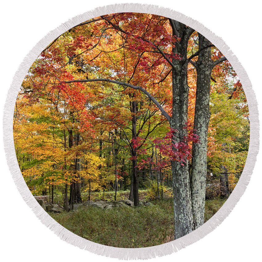 Fall Round Beach Towel featuring the photograph Autumn by Claudia Kuhn
