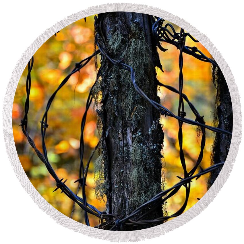 Abstract Round Beach Towel featuring the photograph Autumn Colors 1 by Newel Hunter
