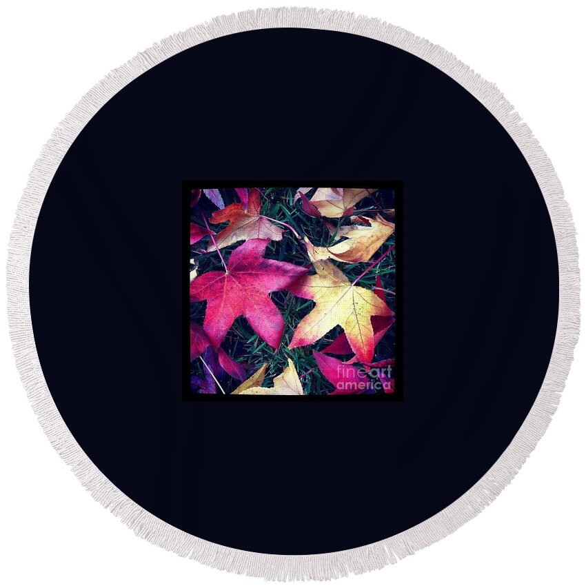 Leaves Round Beach Towel featuring the photograph Autumn by Denise Railey