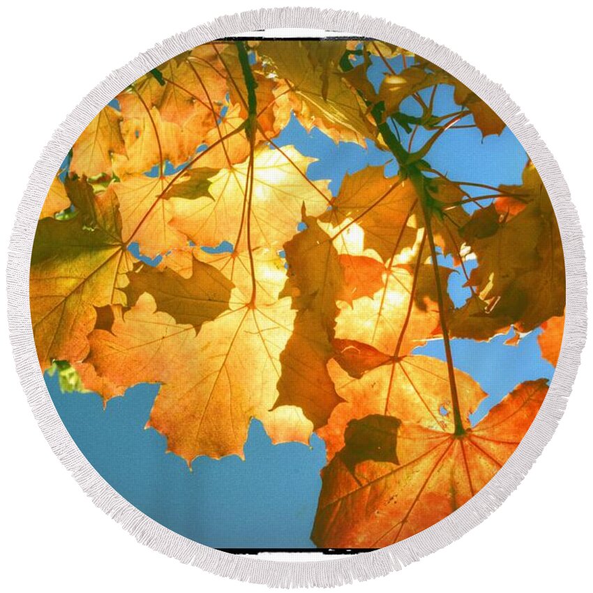 Autumn Round Beach Towel featuring the photograph Autumn Found by Spikey Mouse Photography