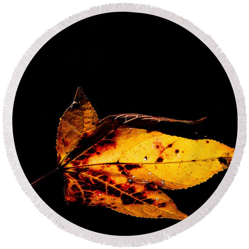 Leaf Round Beach Towel featuring the photograph Autumn Leaf by David Kay