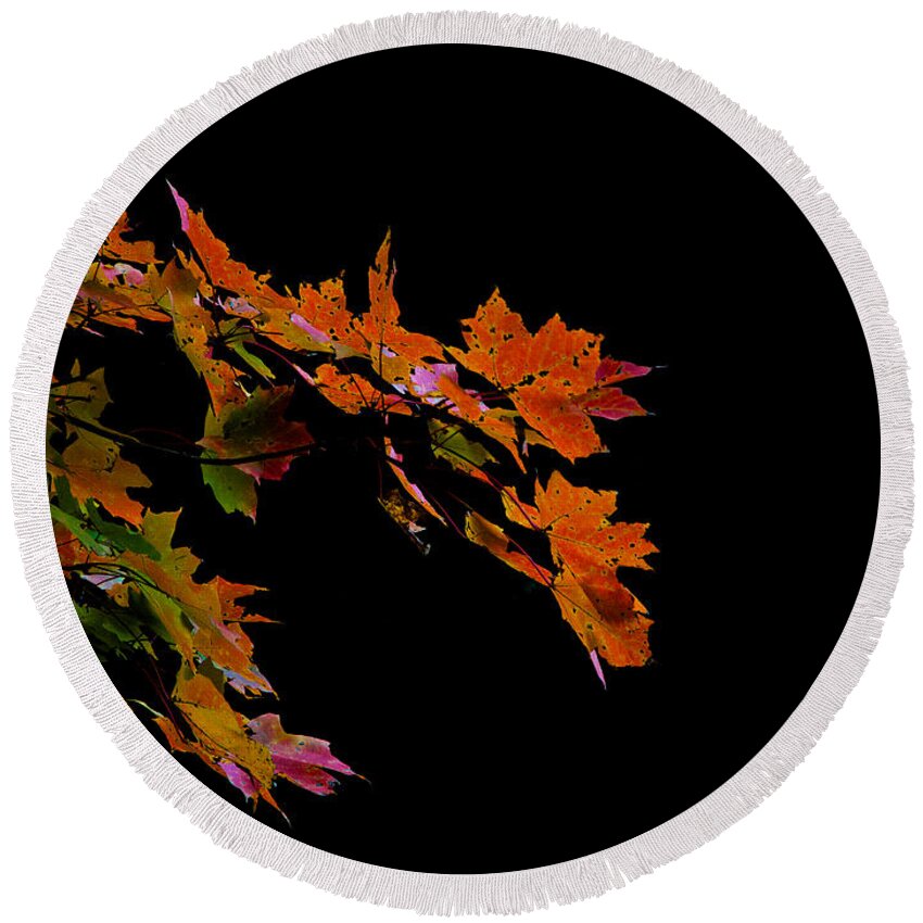 Autumn Round Beach Towel featuring the photograph Autumn leaves by David Kay