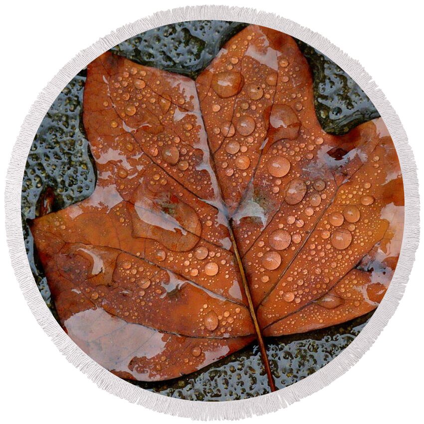 Leaf Round Beach Towel featuring the photograph Autumn Moods 22 by Rodney Lee Williams