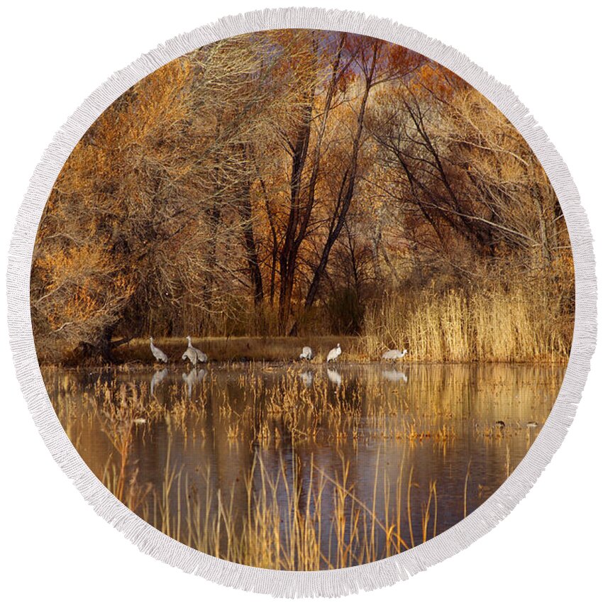 Photograph Round Beach Towel featuring the photograph Autumn Reflections by Vicki Pelham
