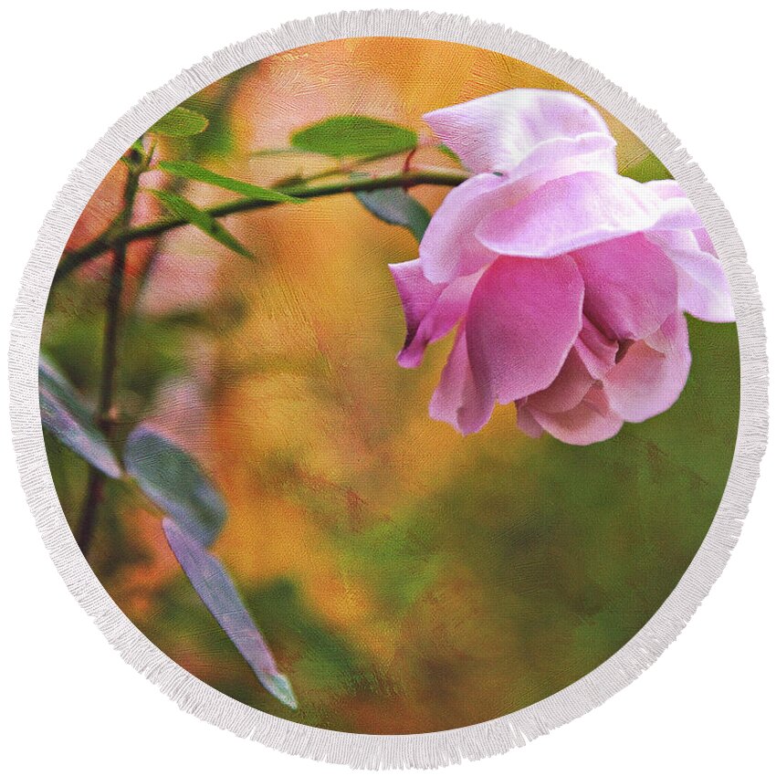 Rose Round Beach Towel featuring the photograph Autumn Rose by Theresa Tahara