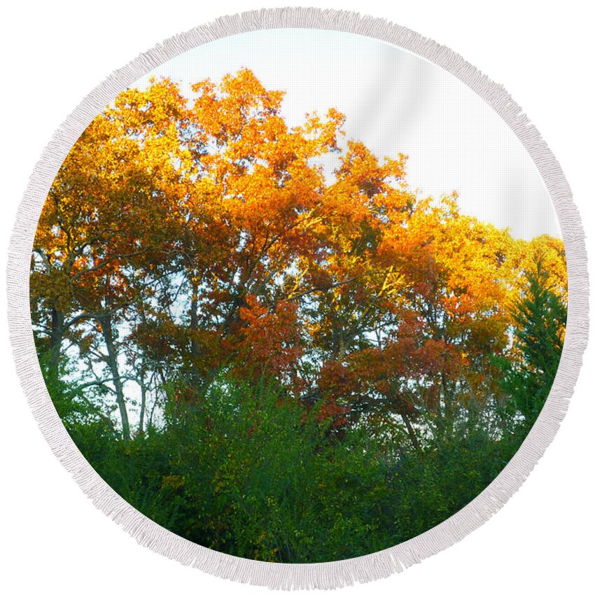 Leaf Round Beach Towel featuring the photograph Autumn Sunlight by Pete Trenholm