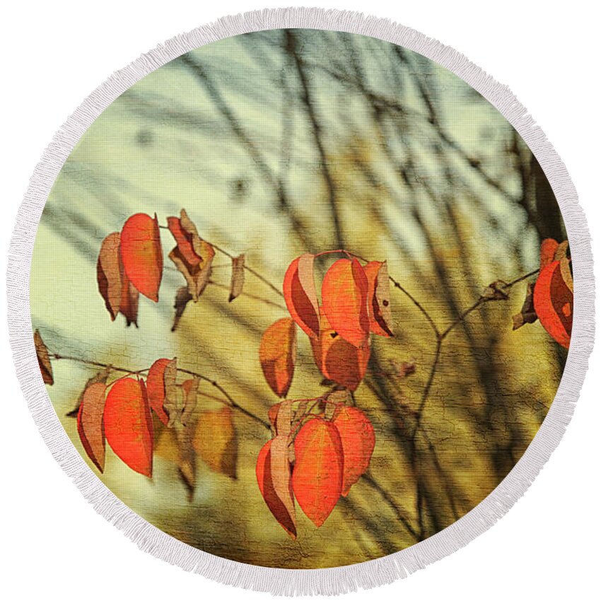 Autumn Round Beach Towel featuring the photograph Autumn by Theresa Tahara