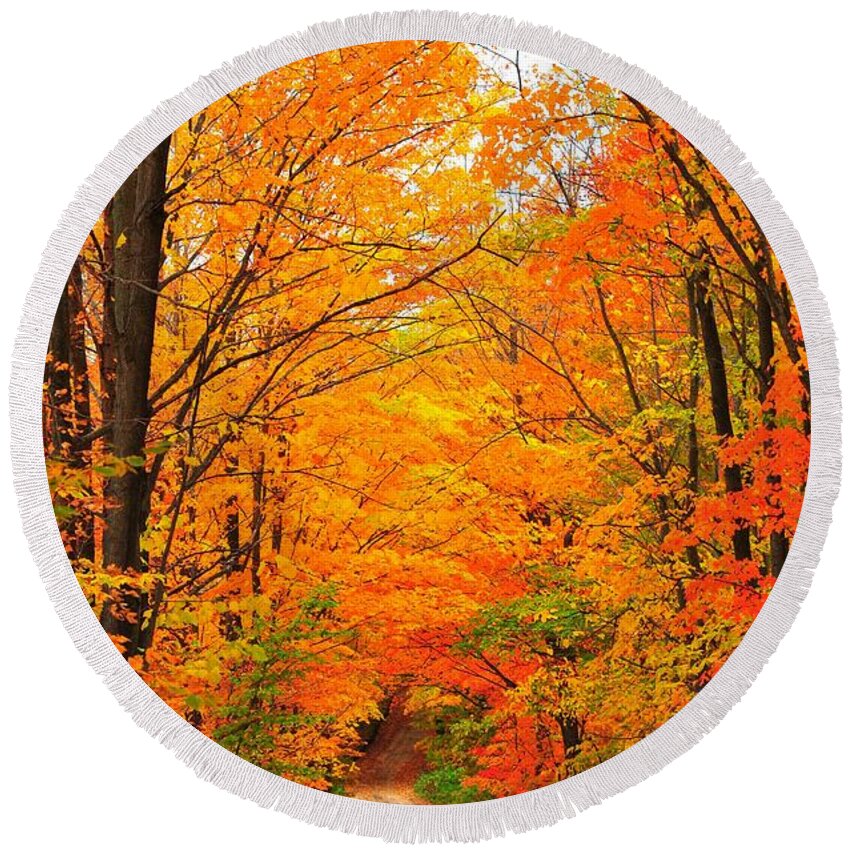 Autumn Round Beach Towel featuring the photograph Autumn Tunnel of Trees by Terri Gostola