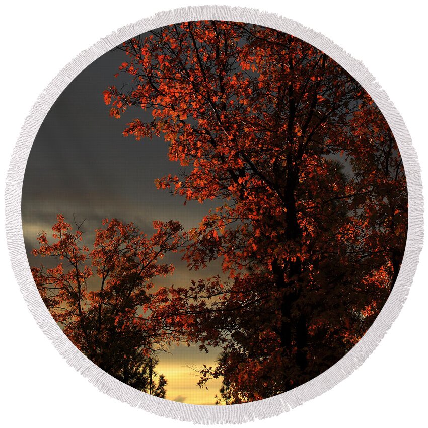 Autumn Round Beach Towel featuring the photograph Autumn's First Light by James Eddy