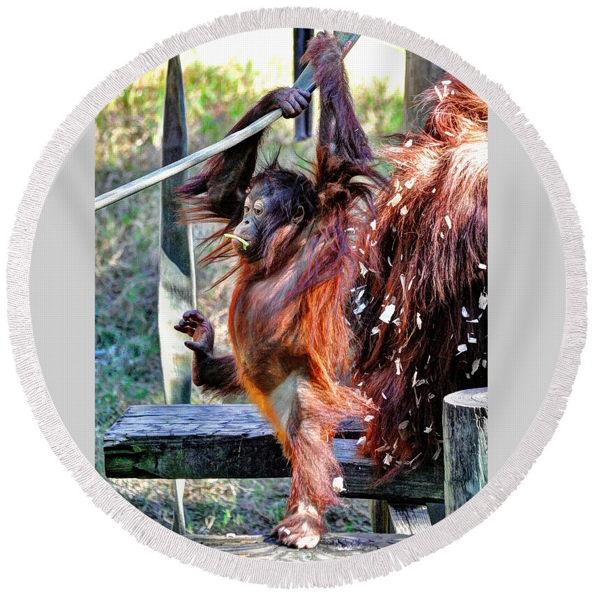 Baby Orangutan Round Beach Towel featuring the photograph Baby Orangutan by Savannah Gibbs