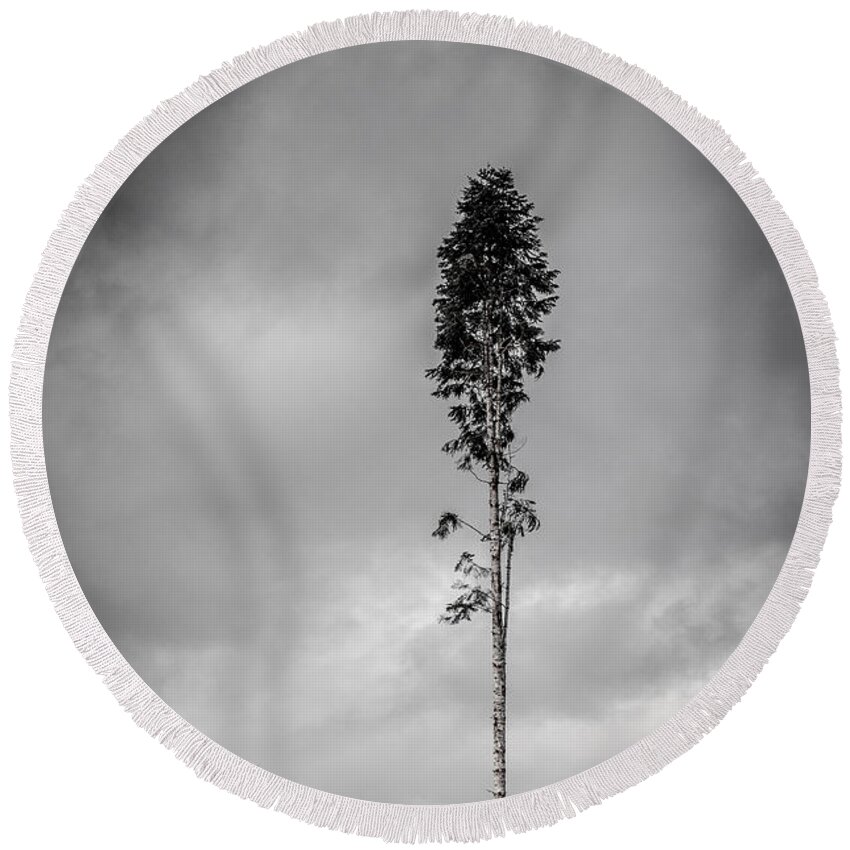 Black And White Round Beach Towel featuring the photograph Lone Tree Landscape by Roxy Hurtubise