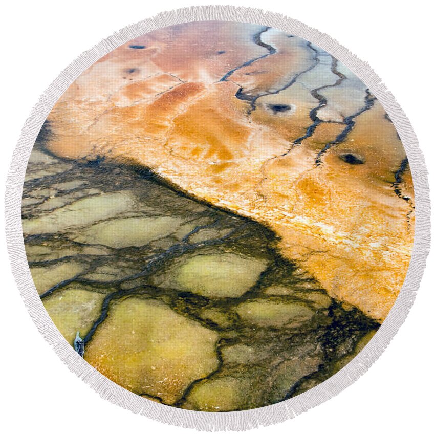 Thermophile Round Beach Towel featuring the photograph Bacterial Art 1 by Nicholas Blackwell