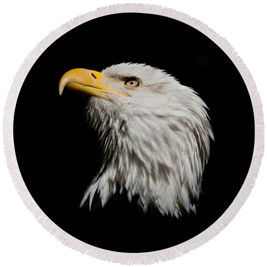 Adult Round Beach Towel featuring the photograph Bald Eagle Looking Skyward by Jeff Goulden