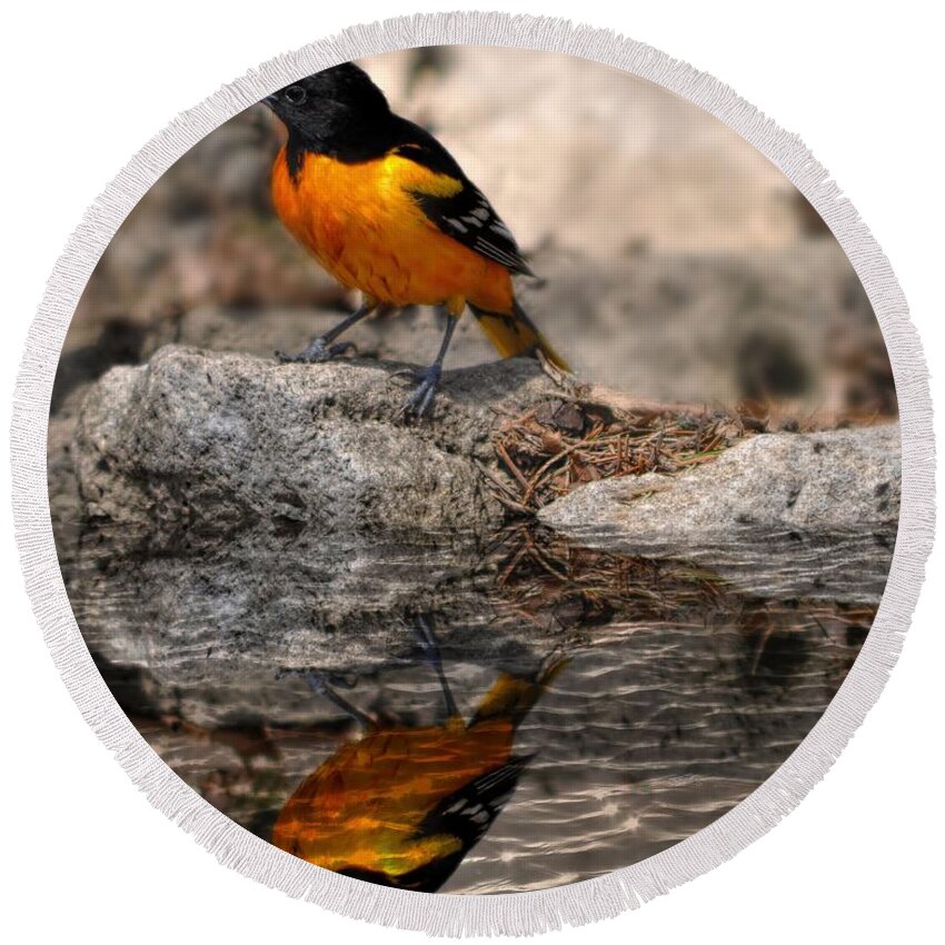 Bird Round Beach Towel featuring the photograph Baltimore Oriole by Elaine Manley