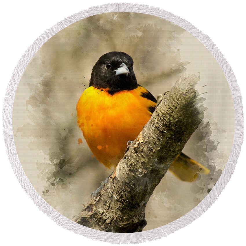 Baltimore Oriole Round Beach Towel featuring the mixed media Baltimore Oriole Watercolor Art by Christina Rollo