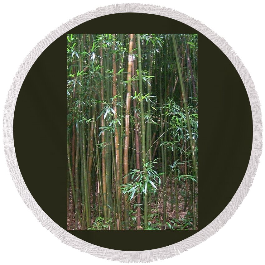  Round Beach Towel featuring the photograph Bamboo Forest by Cornelia DeDona