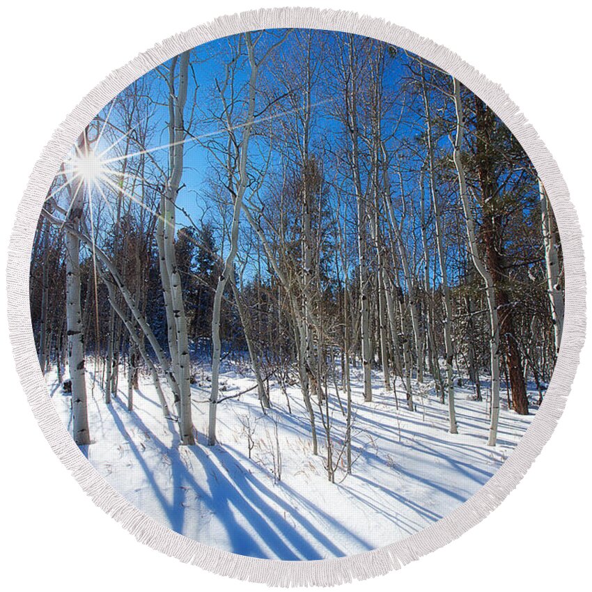Winter Round Beach Towel featuring the photograph Bare Aspens by Darren White