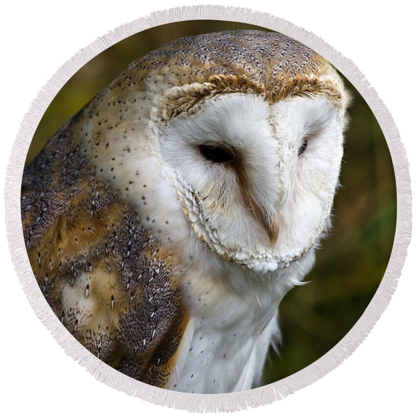 Barn Owl Round Beach Towel featuring the photograph Barn Owl by Scott Carruthers